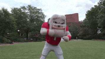 每日GIF(2021-10-17)的gif-College Football Eating GIF by University of Georgia