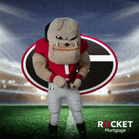 每日GIF(2021-10-17)的gif-Ncaa Football GIF by Rocket Mortgage