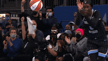 每日GIF(2021-10-18)的gif-Excited Lets Go GIF by WNBA