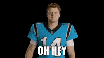 每日GIF(2021-10-18)的gif-Happy North Carolina GIF by Carolina Panthers