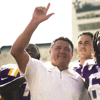 每日GIF(2021-10-18)的gif-College Football GIF by LSU Tigers