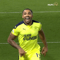 每日GIF(2021-10-18)的gif-Newcastle United GIF by Newcastle United Football Club