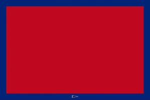 每日GIF(2021-10-19)的gif-Buffalo Bills Banner GIF by Oxford Pennant