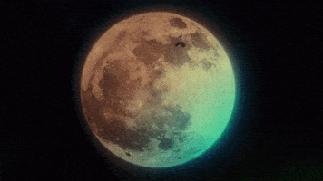 每日GIF(2021-10-20)的gif-Full Moon Halloween GIF by truTV’s Bobcat Goldthwait’s Misfits & Monsters