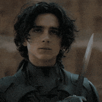 每日GIF(2021-10-23)的gif-Protect Timothee Chalamet GIF by Dune Movie
