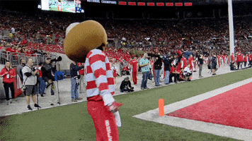 每日GIF(2021-10-24)的gif-Ohio State Football Buckeyes GIF by Ohio State Athletics