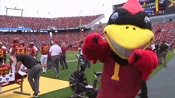 每日GIF(2021-10-24)的gif-Excited Iowa State Cyclones GIF by CyclonesTV