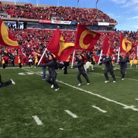 每日GIF(2021-10-24)的gif-Iowa State Cyclones Usa GIF by Iowa State