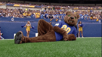 每日GIF(2021-10-24)的gif-Excited University Of Pittsburgh GIF by Pitt Panthers