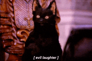 每日GIF(2021-10-28)的gif-High School Comedy GIF