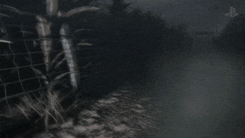 每日GIF(2021-10-29)的gif-Trick Or Treat Lol GIF by PlayStation