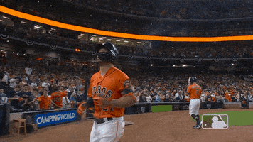 每日GIF(2021-10-29)的gif-World Series Sport GIF by MLB
