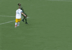 每日GIF(2021-10-30)的gif-Football Goal GIF by Major League Soccer