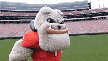 每日GIF(2021-10-31)的gif-Georgia Bulldogs Uga GIF by University of Georgia
