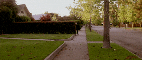每日GIF(2021-11-01)的gif-michael myers halloween GIF by Maudit