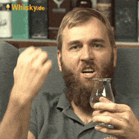 每日GIF(2021-11-01)的gif-Ben Yes GIF by Whisky.de