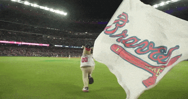 每日GIF(2021-11-01)的gif-Atlanta Braves Win GIF by MLB