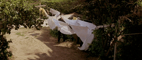 每日GIF(2021-11-01)的gif-Stalking Michael Myers GIF by Maudit