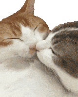 每日GIF(2021-11-02)的gif-Kisses Love GIF by Alissandra