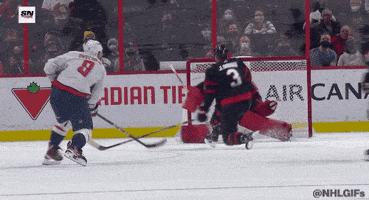 每日GIF(2021-11-02)的gif-Happy Ice Hockey GIF by NHL