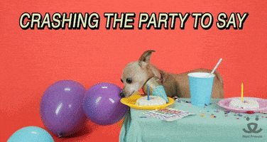 每日GIF(2021-11-02)的gif-Adopt Happy Birthday GIF by Best Friends Animal Society