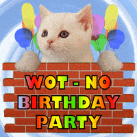 每日GIF(2021-11-02)的gif-Birthday Party GIF