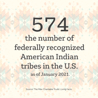 每日GIF(2021-11-03)的gif-Native American Indian GIF by Living Facts
