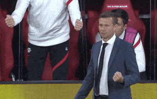 每日GIF(2021-11-04)的gif-Excited Champions League GIF by UEFA