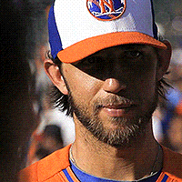 每日GIF(2021-11-04)的gif-San Francisco Giants GIF by MLB