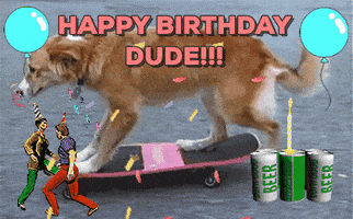 每日GIF(2021-11-05)的gif-Happy Birthday Dog GIF