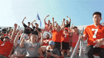 每日GIF(2021-11-07)的gif-Ohio State Buckeyes Football GIF by Ohio State Athletics