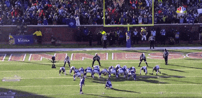 每日GIF(2021-11-08)的gif- 