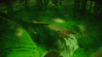 每日GIF(2021-11-09)的gif-Smell Smile GIF by Xbox