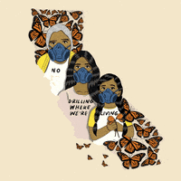 每日GIF(2021-11-10)的gif-Climate Change Earth GIF by NRDC