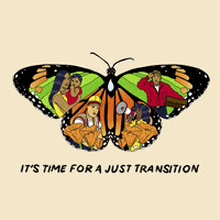 每日GIF(2021-11-11)的gif-Climate Change Butterfly GIF by NRDC