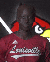 每日GIF(2021-11-11)的gif-University Of Louisville Sport GIF by Louisville Cardinals