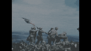 每日GIF(2021-11-11)的gif-American Flag Vintage GIF by US National Archives