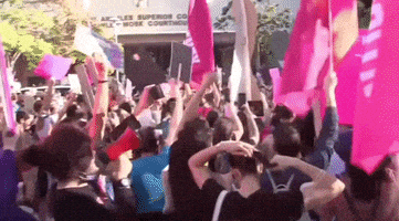 每日GIF(2021-11-13)的gif-Britney Spears Rally GIF by GIPHY News