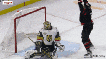 每日GIF(2021-11-14)的gif-Happy Ice Hockey GIF by NHL