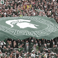 每日GIF(2021-11-14)的gif-Go Green GIF by Michigan State Athletics
