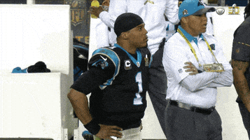 每日GIF(2021-11-15)的gif-cam newton GIF