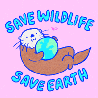 每日GIF(2021-11-18)的gif-Climate Change Earth GIF by Katharine Kow