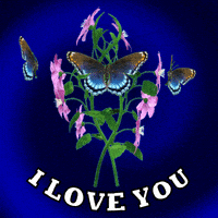 每日GIF(2021-11-19)的gif-I Love You GIF