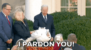 每日GIF(2021-11-20)的gif-Joe Biden Thanksgiving GIF by GIPHY News