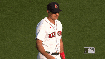 每日GIF(2021-11-20)的gif-Major League Baseball Sport GIF by MLB
