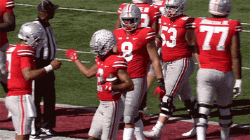 每日GIF(2021-11-21)的gif-College Football Sport GIF by Ohio State Athletics