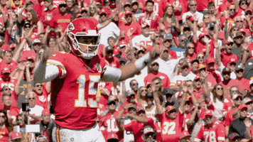每日GIF(2021-11-22)的gif-Kc Chiefs Football GIF by Kansas City Chiefs
