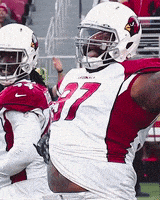 每日GIF(2021-11-23)的gif-Hungry Feed Me GIF by Arizona Cardinals