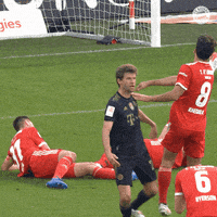 每日GIF(2021-11-23)的gif-Sport Yes GIF by FC Bayern Munich