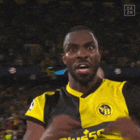 每日GIF(2021-11-24)的gif-Happy Champions League GIF by DAZN